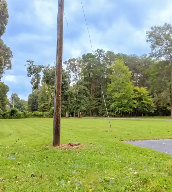 Cleared roadside near the power pole after cleanup