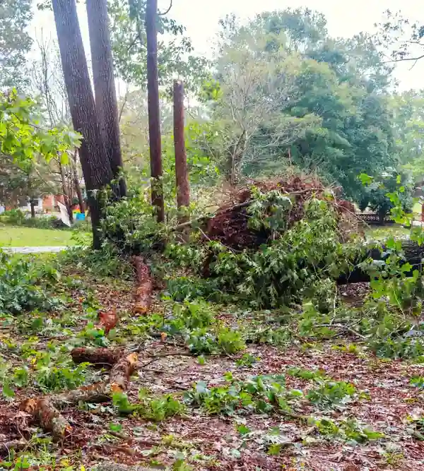 Storm debris pile before cleanup
