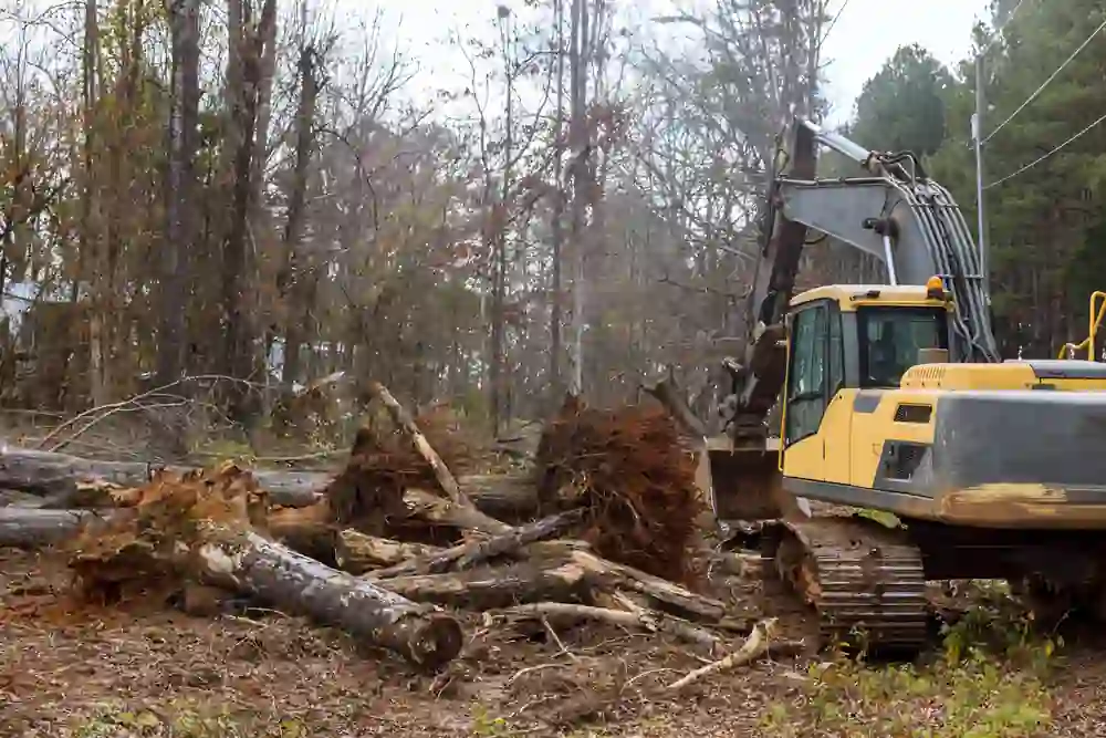 Excavator clearing felled trees on a job site
